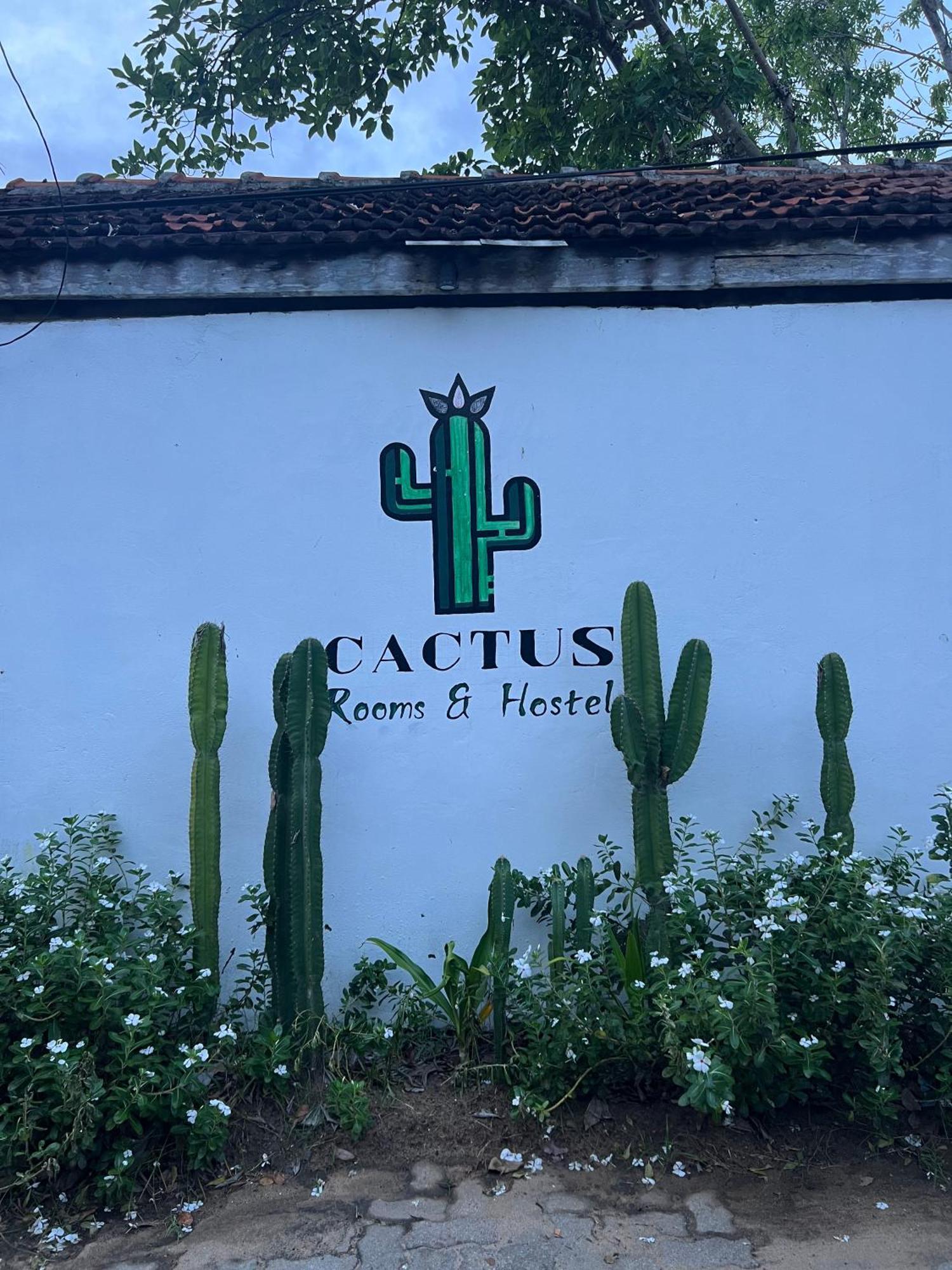 Хостел Cactus Arugambay Аругам Экстерьер фото