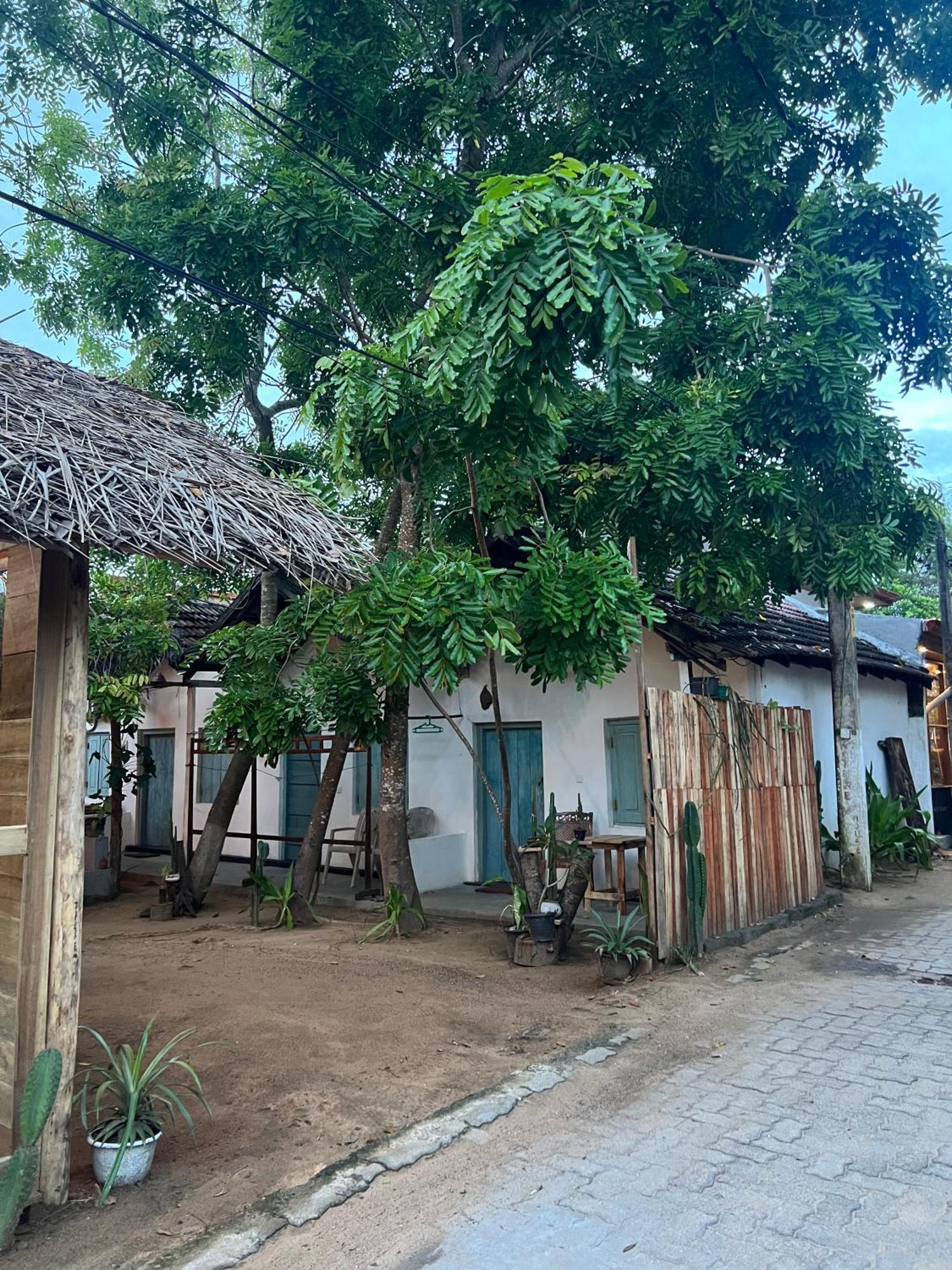 Хостел Cactus Arugambay Аругам Экстерьер фото
